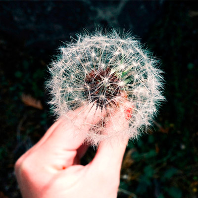 免费手机号轰炸机